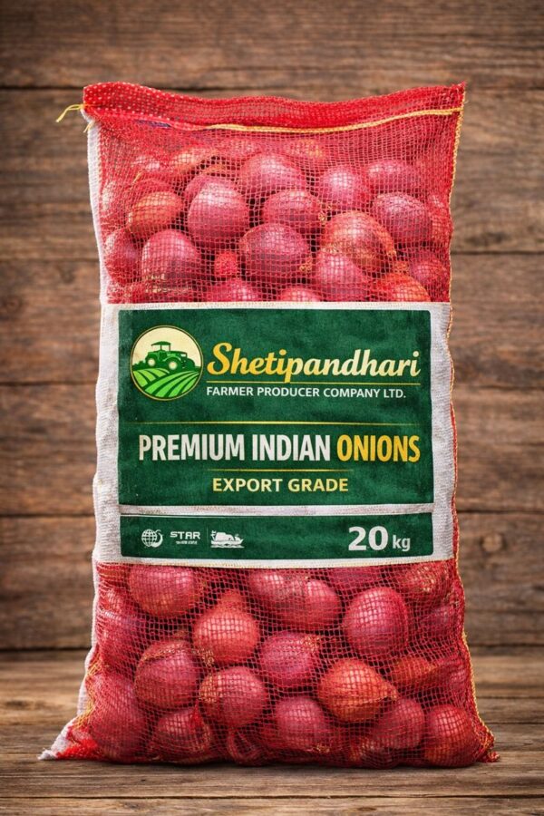 20 kg export-grade Indian onions packed in branded mesh bag.