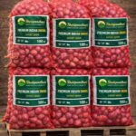 A red mesh 100 kilogram bag filled with fresh Indian onions