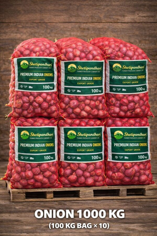 A red mesh 100 kilogram bag filled with fresh Indian onions