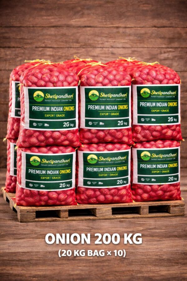 Onion 200 KG (20 KG BAG x 10)