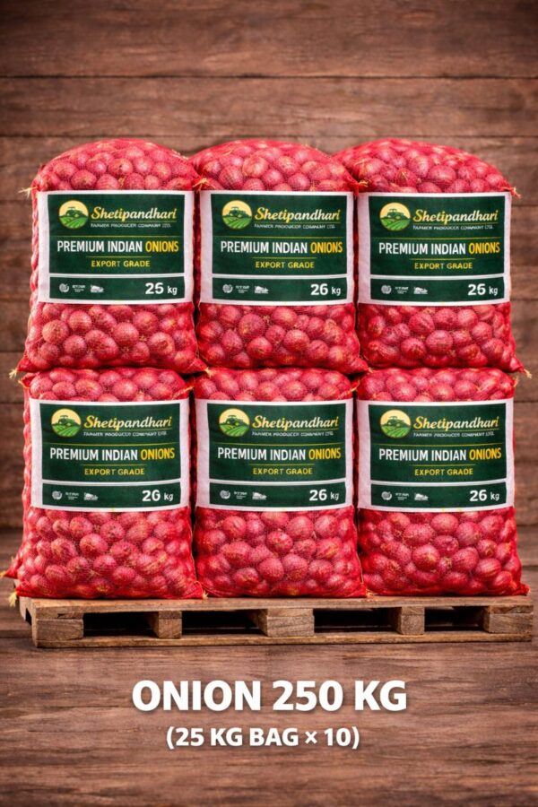 Onion 250 KG (25 KG BAG x 10)