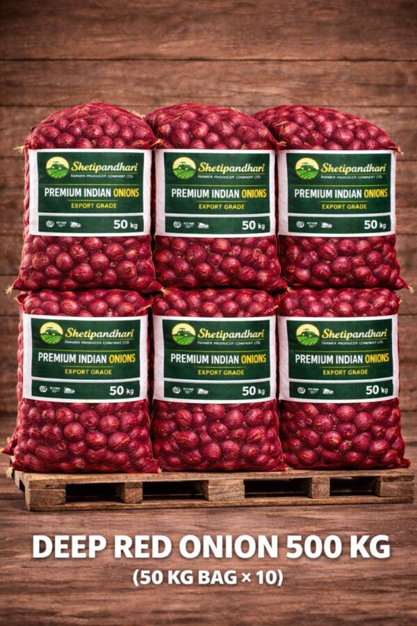 500 kg deep red Indian onions packed in 50 kg mesh bags branded by Shetipandhari Farmer Producer Company Ltd for export.