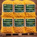 750 kg Indian onions packed in yellow mesh bags (75 kg × 10) branded by Shetipandhari Farmer Producer Company Ltd for export.