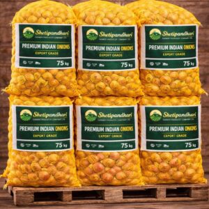 750 kg Indian onions packed in yellow mesh bags (75 kg × 10) branded by Shetipandhari Farmer Producer Company Ltd for export.