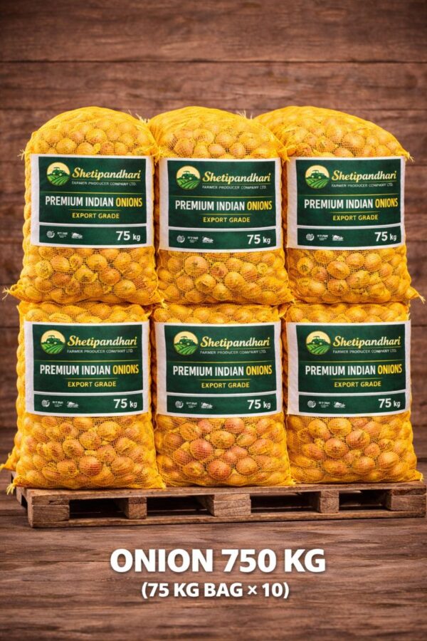 750 kg Indian onions packed in yellow mesh bags (75 kg × 10) branded by Shetipandhari Farmer Producer Company Ltd for export.